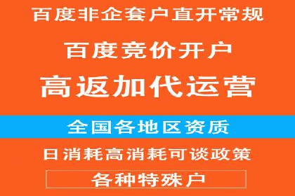 搜索引擎推广的佼佼者——百度搜索推广案例